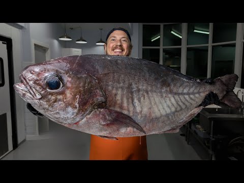 The Fish You Never Heard Of