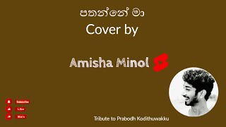 පතන්නේ මා  Cover by Amisha Minol