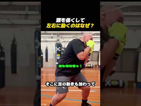 頭の位置を変えて次のパンチへ！ボクシングの上体移動