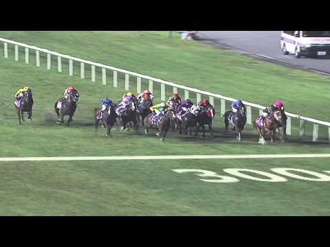 Singapore Guineas 2012