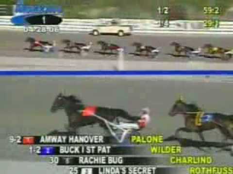 Bucki, The Meadows, 2006/4/28