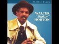 Big Walter Horton - Shake Your Money Maker (Elmore James)
