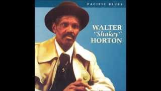 Big Walter Horton - Shake Your Money Maker (Elmore James)