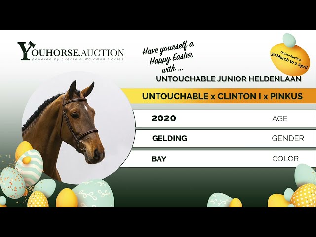 Untouchable Junior Heldenlaan trainingsvideo