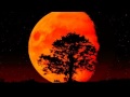 guided by voices | kotex moon