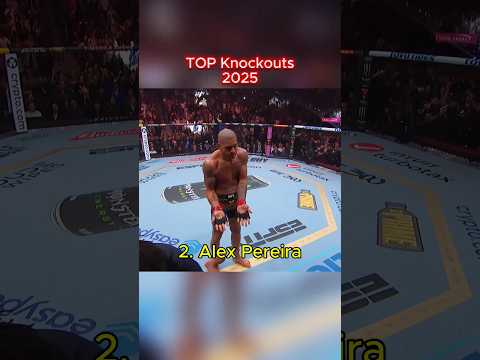 Octagon Daily video artwork