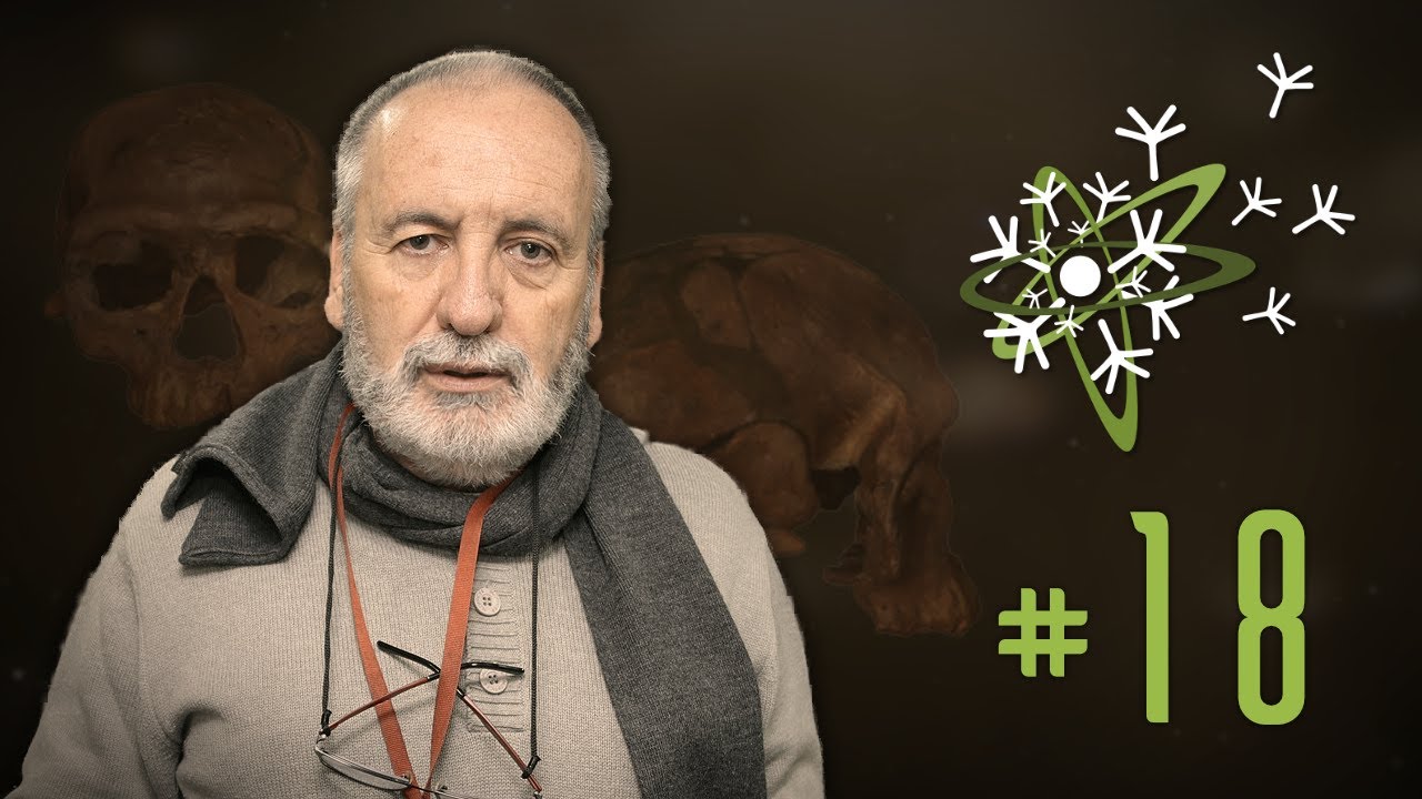 O humano mais antigo?? | Dispersciência #18 + Walter Neves