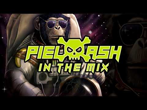 PIELASH IN THE MIX - STYCZEŃ 2019