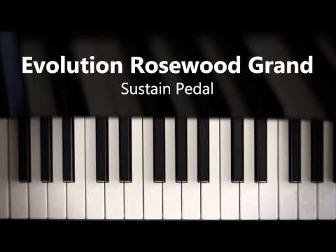 Video for Evolution Rosewood Grand - Sustain Pedal