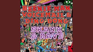 Skank and Rave (feat. Ding Dong)