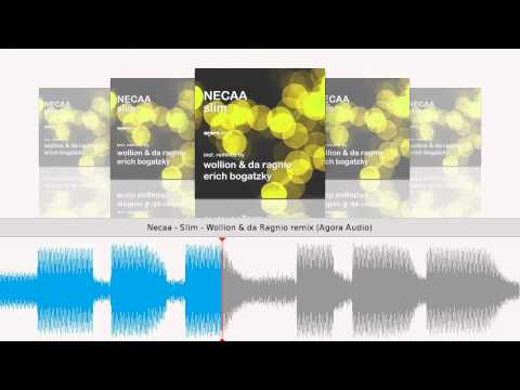 Necaa - Slim - Wollion & da Ragnio remix (Agora Audio)
