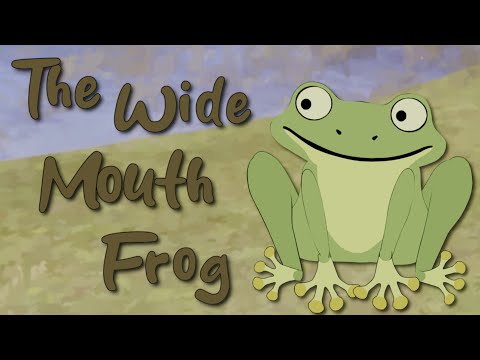 The Wide Mouth Frog – a short animation in 4k