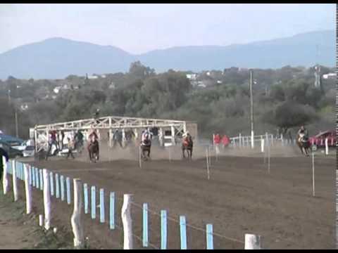 Princesa-Pista Don Sohar-Centroturf