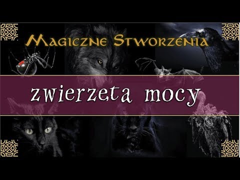 Zwierzęta Mocy