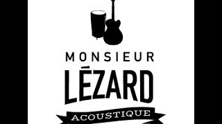 Monsieur Lézard En Acoustique "Geek" @ Connexion Live Toulouse 29/01/2014