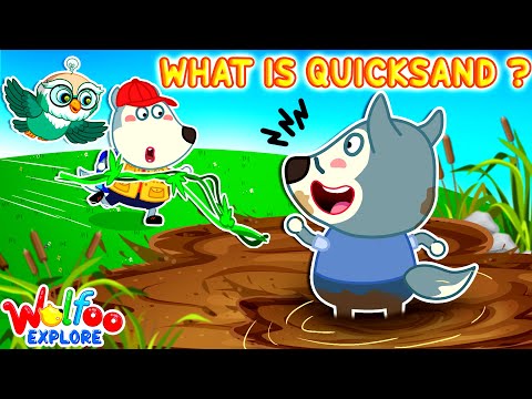 What Happens If You Fall Into Quicksand? | 🔍Wolfoo Explore - Nature Science | Educational Videos