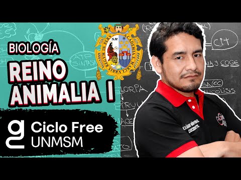BIOLOGÍA - Reino Animalia Parte 01 [CICLO FREE]