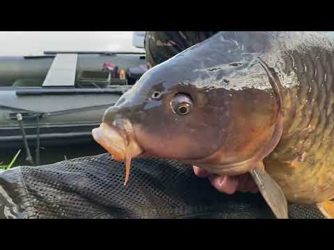Video nou in curand! - Atentie, video contine nou record personal - Crap de peste 25 Kg