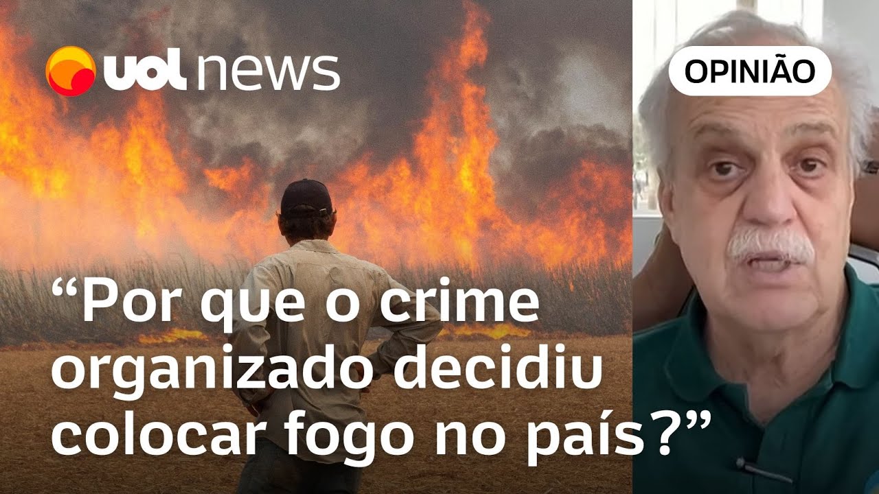 Fogo em SP: Não há a menor dúvida de que grande parte foi incêndio criminoso, diz Carlos Nobre