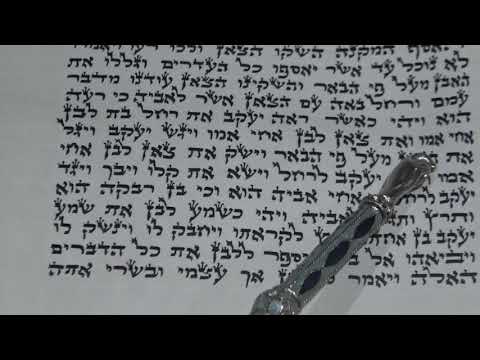 Torah Reading for Parashat Vayeitzei Rabbi Moshe Weisblum קריאת התורה לפרשת ויצא הרב משה ויסבלום