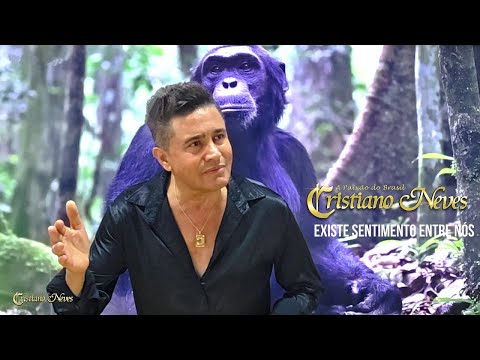 1. Cristiano Neves - There Is Feeling Between Us - Author - Cristiano Neves