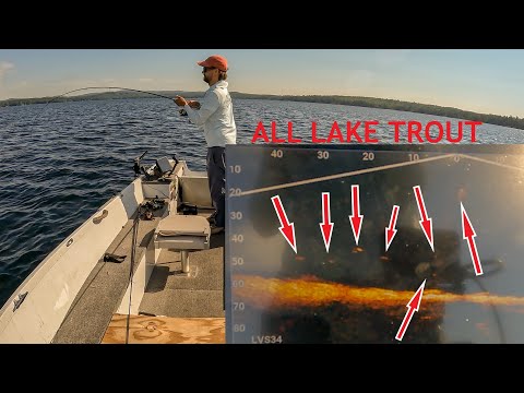 Garmin Livescope PLUS!!! - Lake Trout Jigging GAME CHANGER