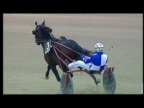 Napoli Trotto 19/03/2021 - 6ª corsa