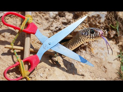 EASY SNAKE TRAP_ Creative DIY Snake Trap Using scissors |New Technique Of In Hole Snake Trap