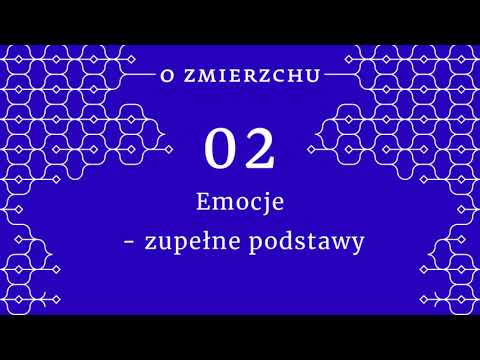 O Zmierzchu #2 - Emocje, zupełne podstawy. Dlaczego nie warto być płaskoziemcem?