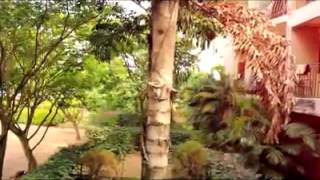 Mr.Lover by David Cream