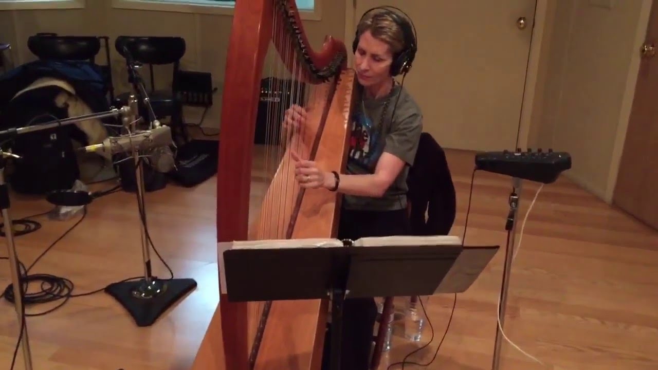 Hire Celtic Harp Music by Anne Roos Harpist in South Lake Tahoe, California