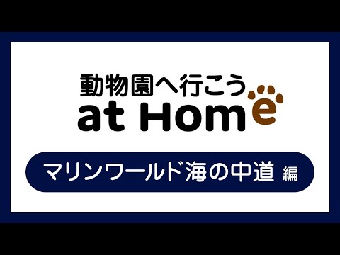 学校教育課程 動物園へ行こう^^@ホーム　その２：マリンワールド海の中道編