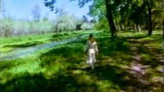 Alicia en el país de las maravillas