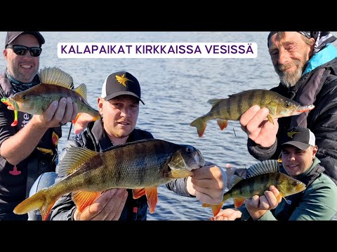 Ahvenen kalastus isolla järvellä • Parhaat ottipaikat, tekniikat ja vieheet • Ruotsinreissu OSA6