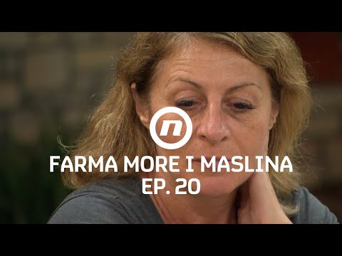 Trgovac prevario farmere? - Epizoda 20 | Farma More i Maslina