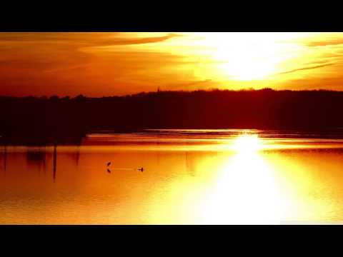 Sacha Collisson - Sky of Gold