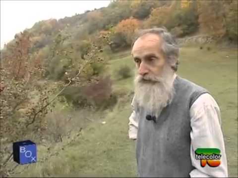 Come costringere il marito a non prendere bevande alcoliche Lalcolismo conduce a diabete