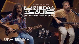 Selva Branca Lyrics English Translation