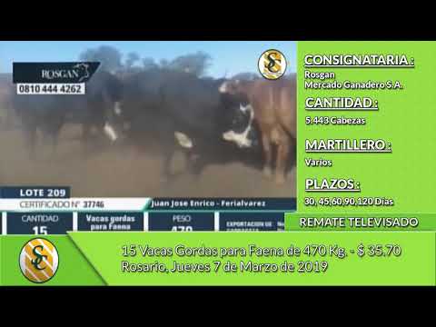 07-03-19 - Venta de Hacienda para Faena - Remate Televiasdo de ROSGAN - Rosario