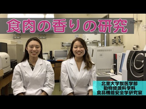 獣医学科 【北里大学獣医学部 動物資源科学科】研究紹介 食品機能安全学研究室（香気成分）