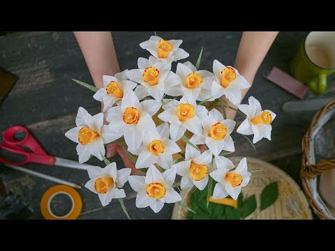 DIY  Crepe paper daffodils ( Paper Cartotecnica Rossi 180g )