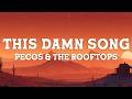 Pecos The Rooftops This Damn Song Lyrics
