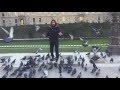 Pigeon Juggler At The Louvre In Paris