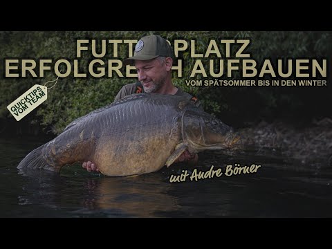 Futterplatz erfolgreich aufbauen - Vom Spätsommer bis in den Winter