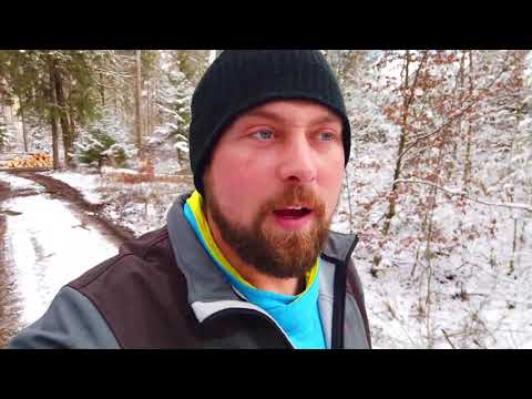 Forstmaschinen, Giganten im Wald.