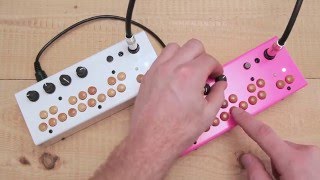 Video thumbnail for Critter & Guitari - Bolsa Bass Demo by Critter & Guitari