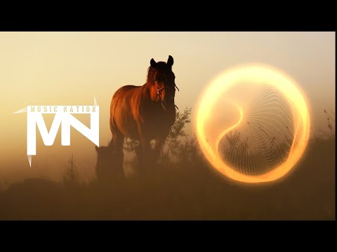 Hypanda, Mike Emilio - Never Surrender