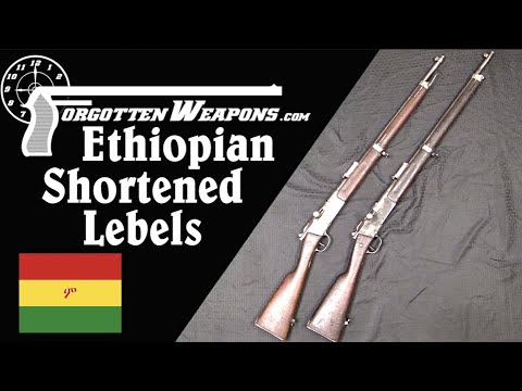 Uniquely Ethiopian Shortened Lebel Rifles