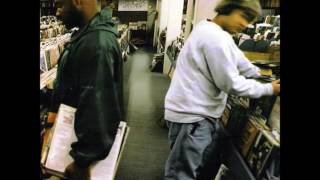 DJ Shadow - Stem/Long Stem