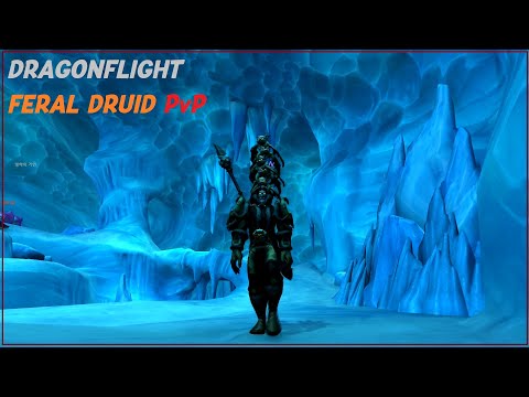 [WoW 10.0] DragonFlight Feral Druid PvP Montage (야드, Zsw) - Swarm